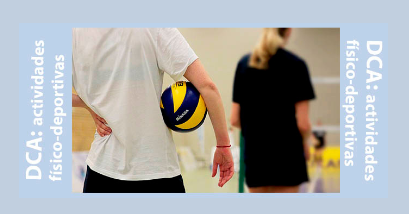 Juegos adaptados para Daño Cerebral Adquirido (DCA): Coordinación